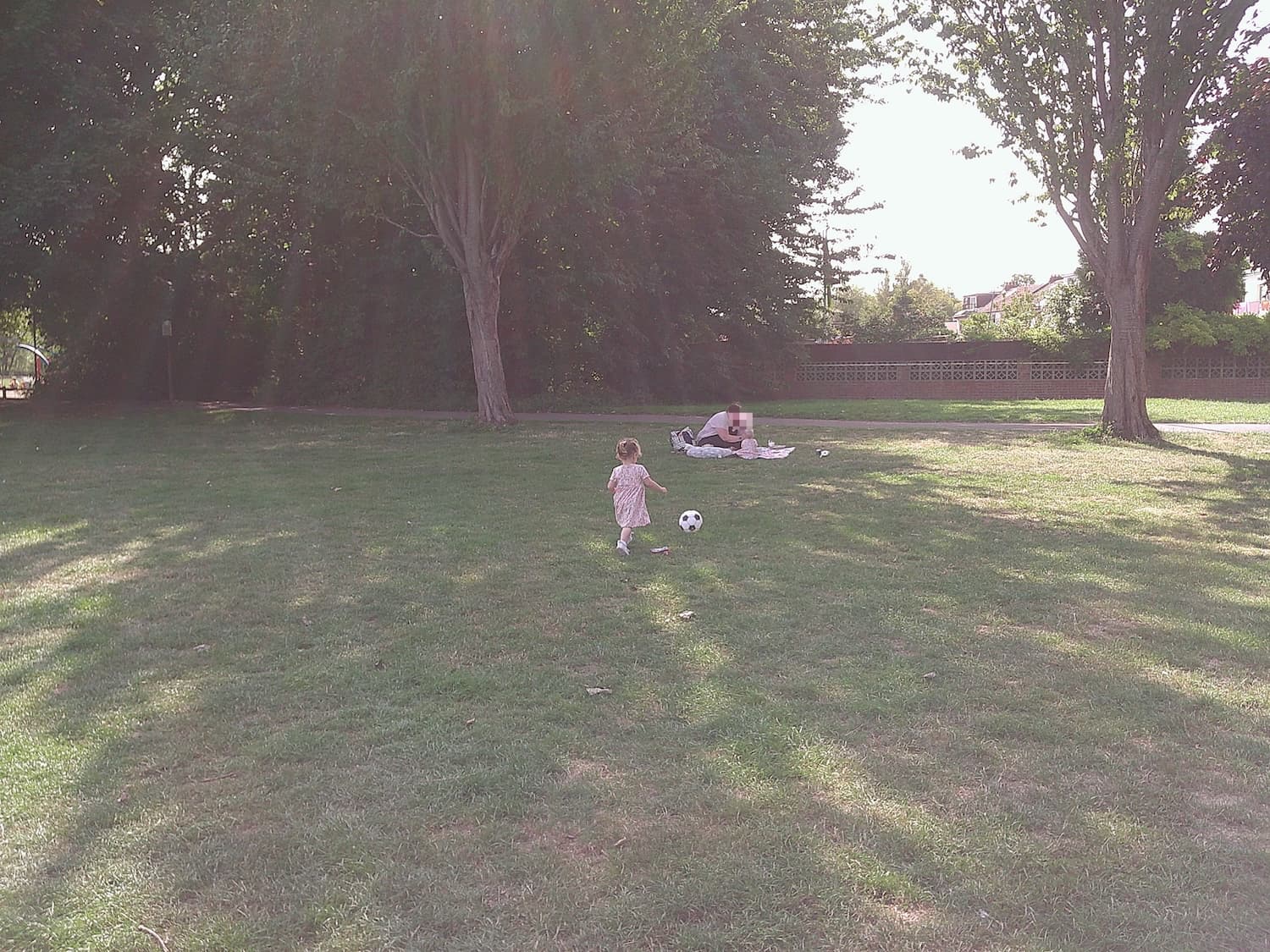A field with tree and a family playing