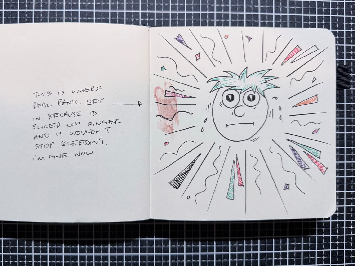 Two pages of a square sketchbook. The left side is a drawing of a panicking face surrounded by worry lines and shapes. There is a red smudge on the left of this page. On the left page it says "This is where real panic set in because I'd sliced my finger and it wouldn't stop bleeding. I'm fine now.