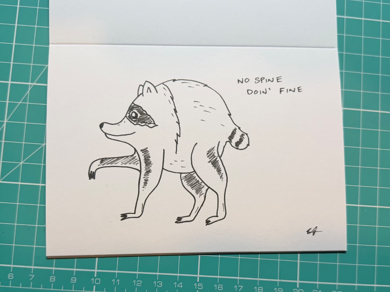 A drawing of Jimothy the raccoon on a peice of card